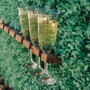 Glass of champagne are mounted on a stand on a vertical green lawn wall.