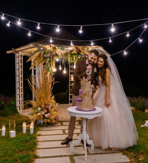 VNV Events: wedding planner miami florida- cover 024