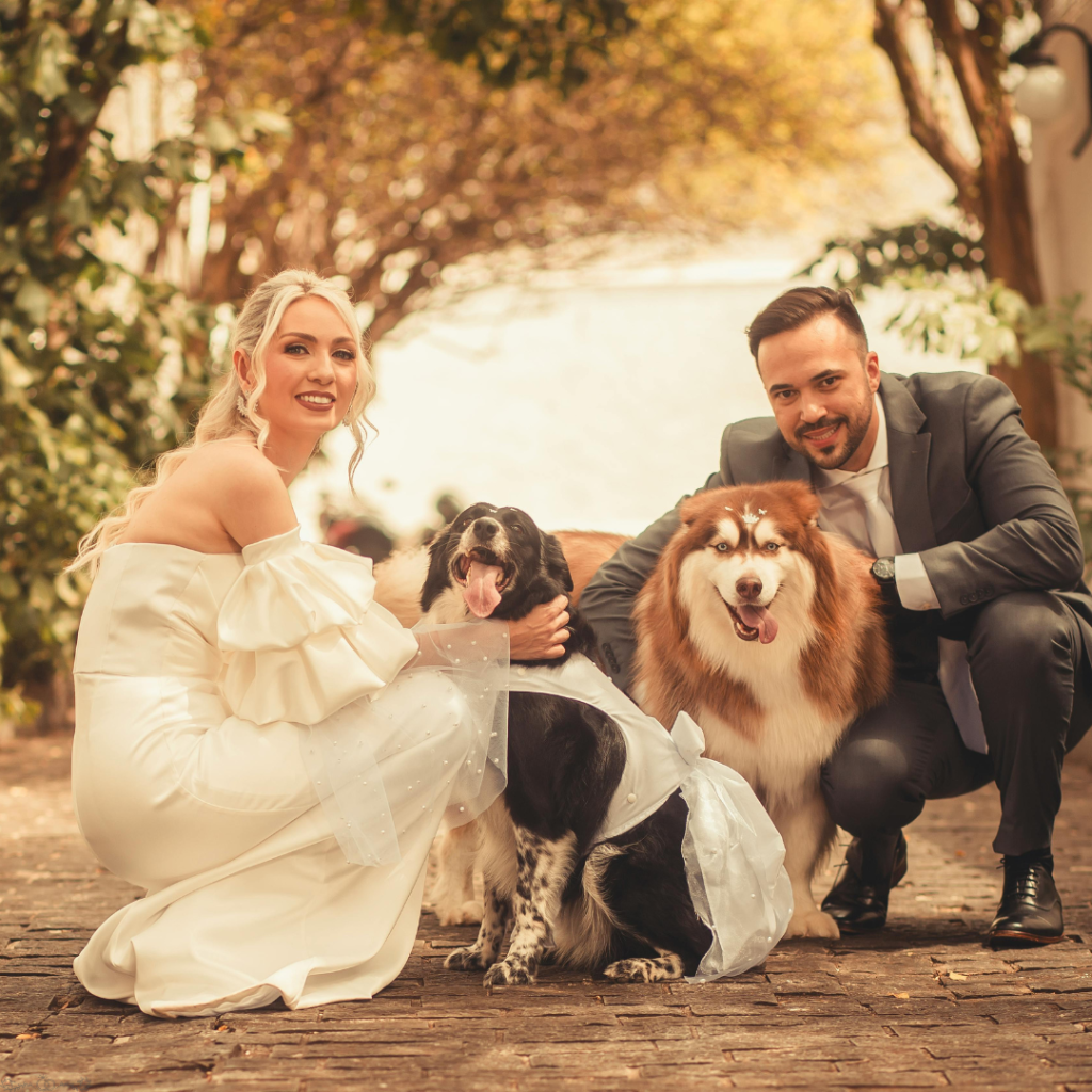 How to Include Your Pets in Your Wedding Safely and Elegantly 4