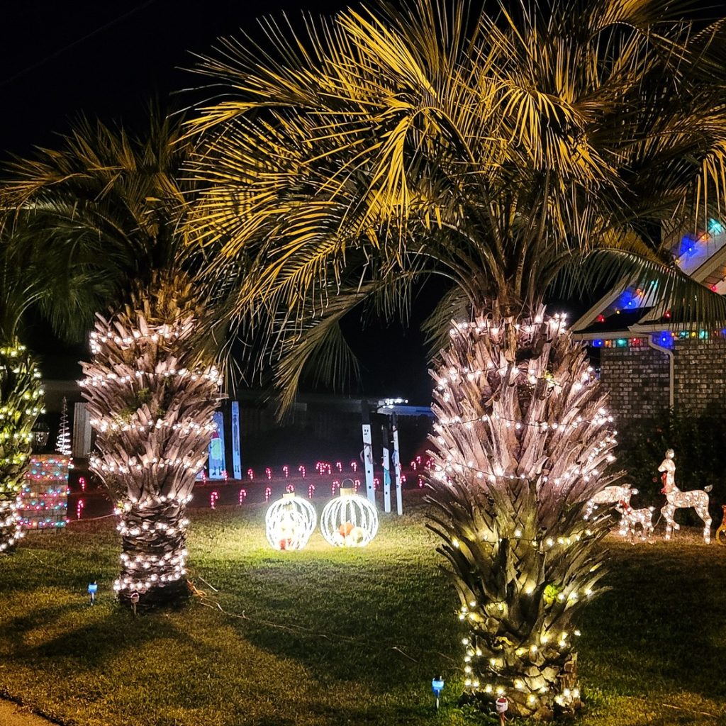 vnv events: Event planner services in Miami- Budget Bachelorette Party Ideas -2 - Cheerful young females in bathrobes celebrating bachelorette party -Beautiful landscaping at Christmas with neon lights on trees and yard decorations on holiday.