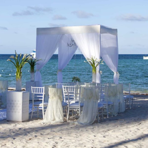 beautiful-wedding-installation-at-the-beach-2022-11-14-05-05-44-utc