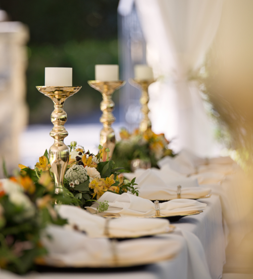 VNV events: all inclusive wedding packages in florida under $5000-portada 2